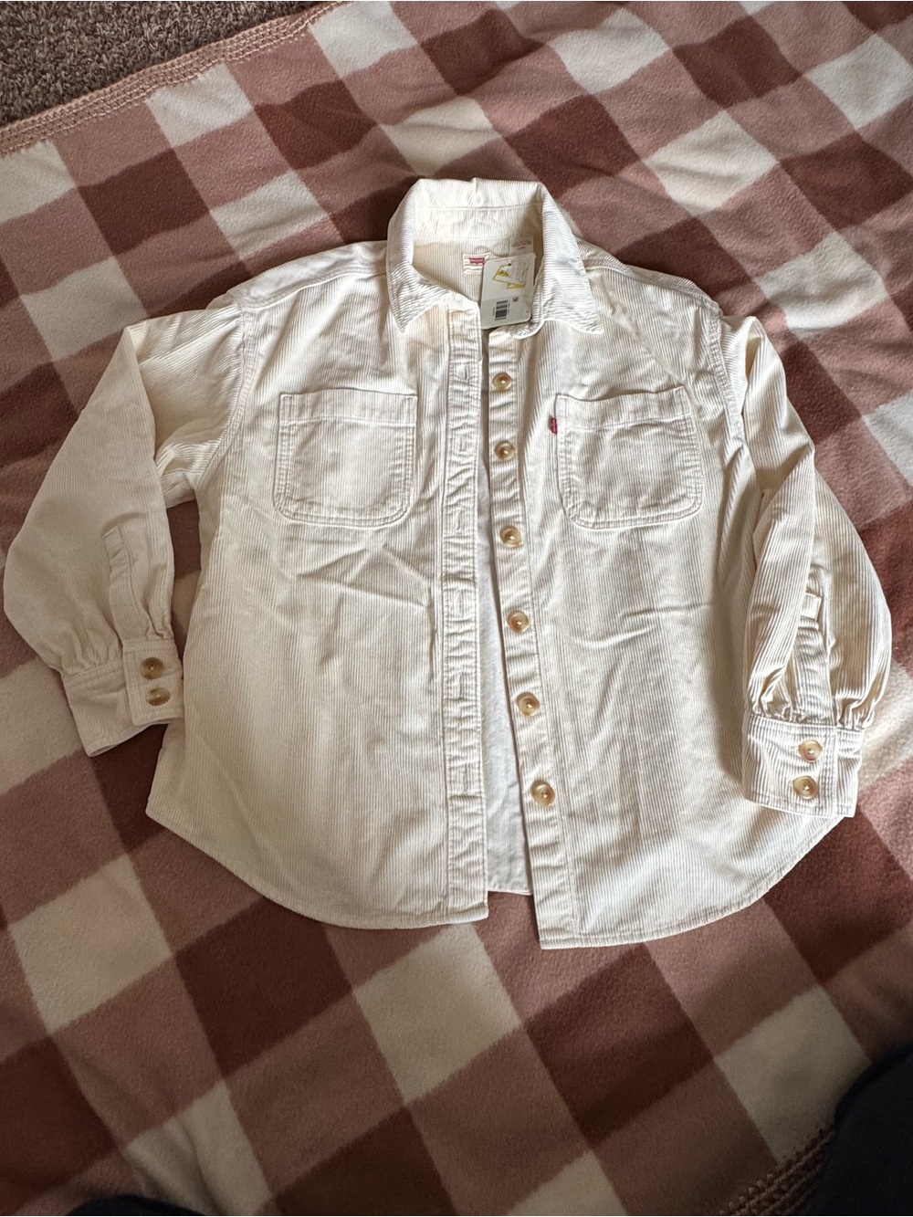 Levi's Button-Down Shirt